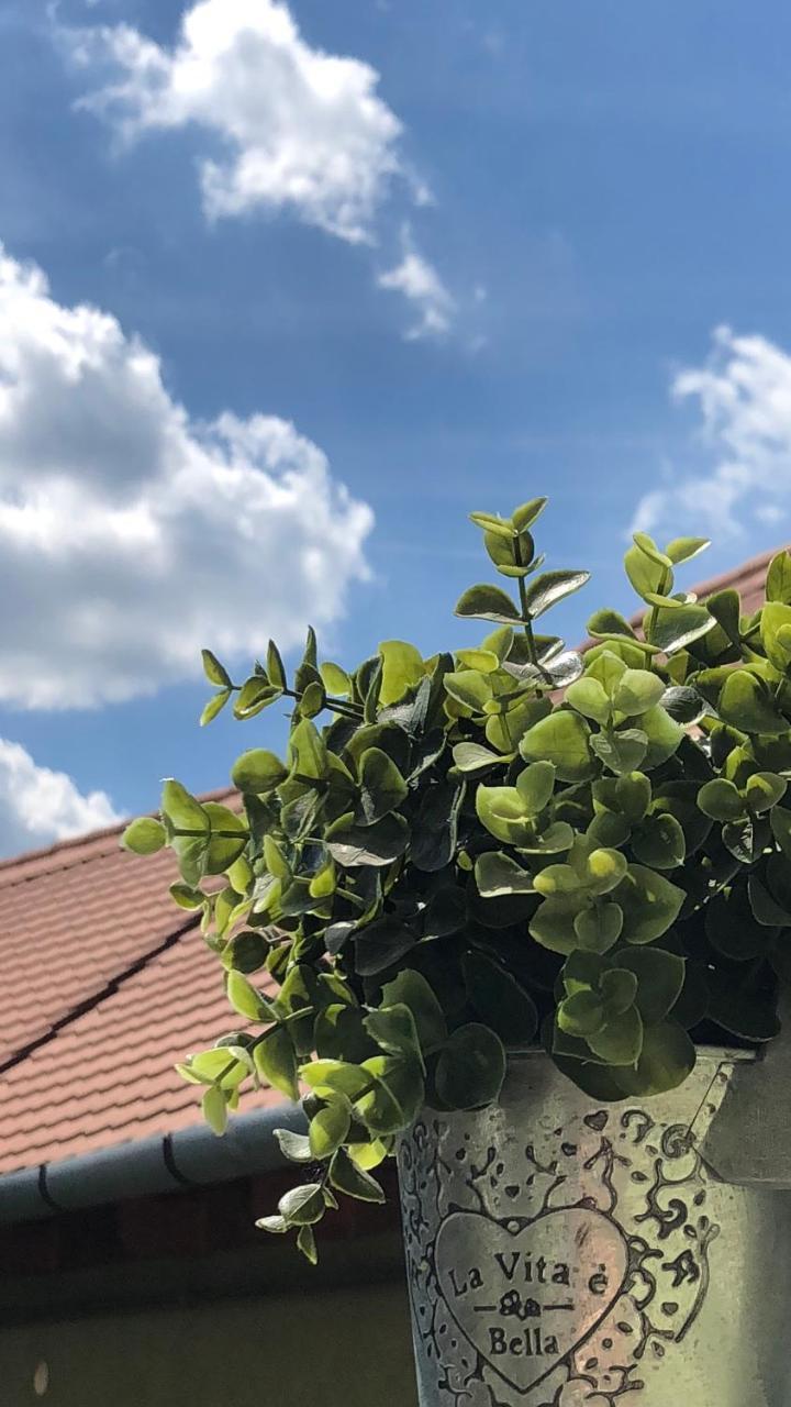 Frank Apartman Daire Eğri Dış mekan fotoğraf